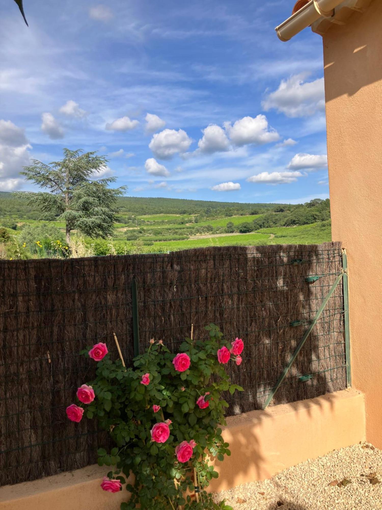 La Maison Des Cerisiers Bedoin